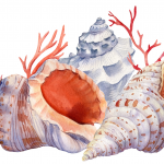 Probabilidad y estadística para economistas