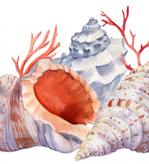 Probabilidad y estadística para economistas